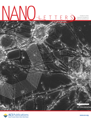 Nano Letters Cover 2024